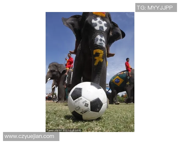 足球明星AG2的传奇之路与未来展望：从绿茵场到全球舞台的辉煌旅程