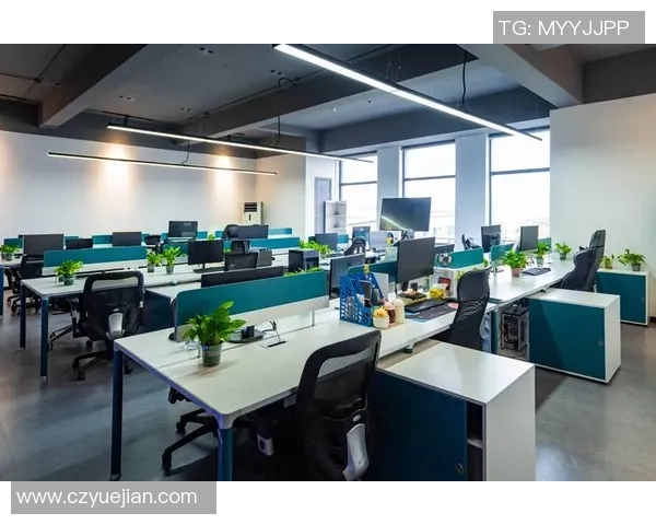 重庆羽毛球队运营创新之路:探索新模式与发展策略的深度分析